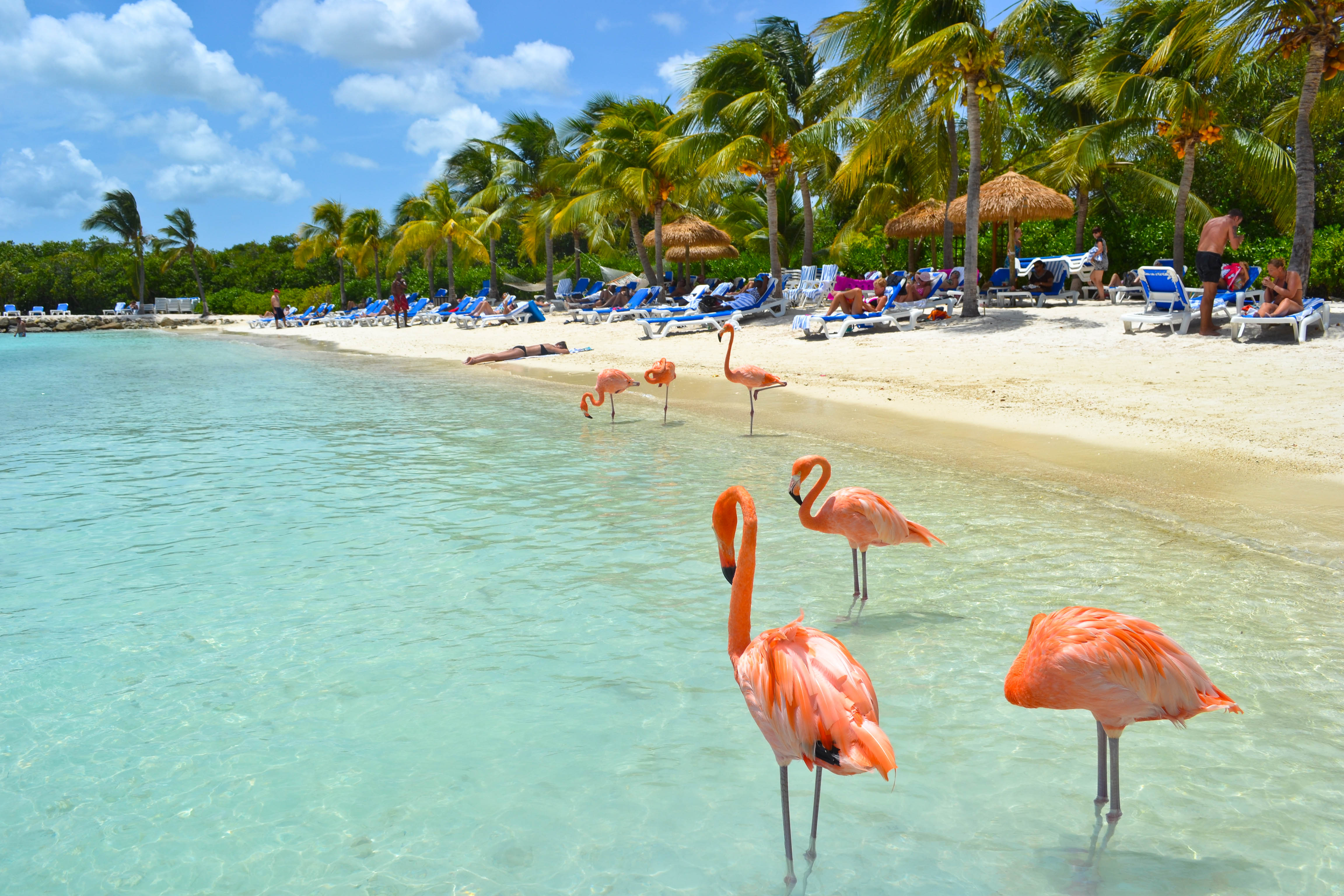 Aruba Antille Olandesi L isola Dove Non Piove Mai