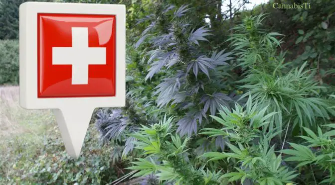 La Svizzera depenalizza completamente il possesso di cannabis