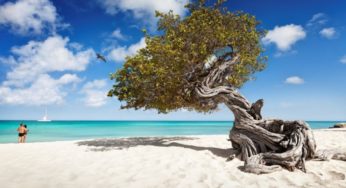 Aruba l’isola dove non piove mai Come fare per trasferirsi li